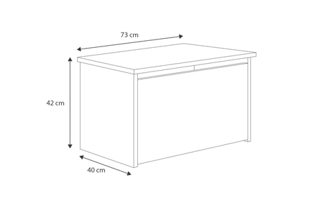Skrzynia na zabawki DARIA - Biała, panel grafitowy